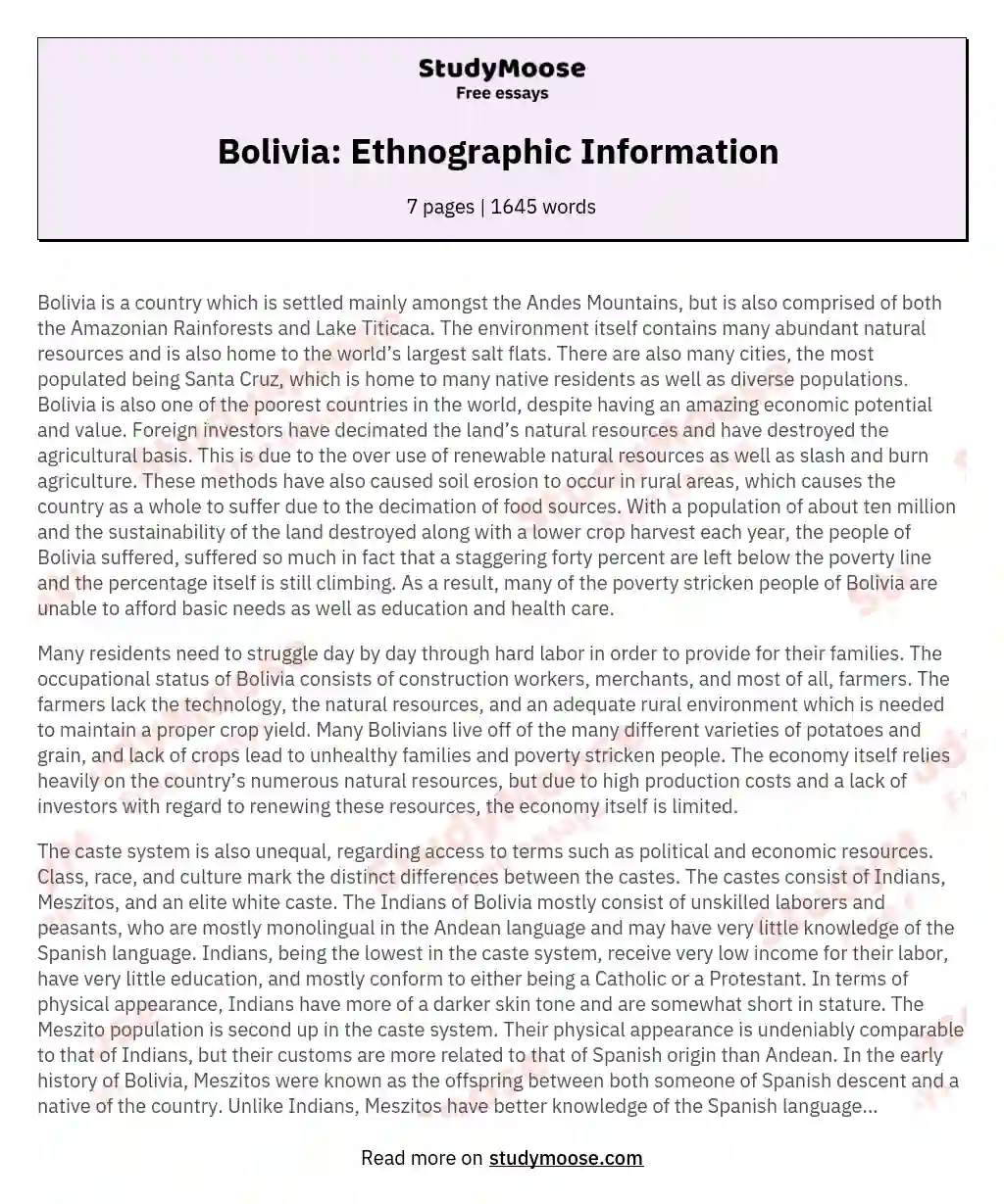 Bolivia: Ethnographic Information  essay