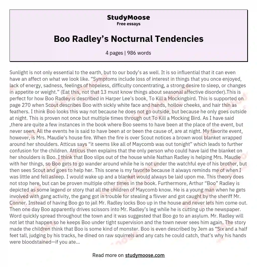 Boo Radley’s Nocturnal Tendencies essay