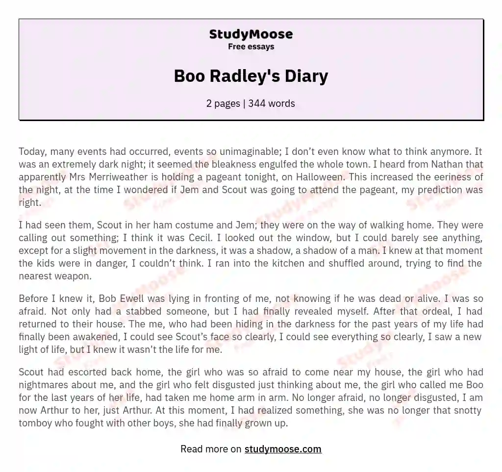 Boo Radley's Diary