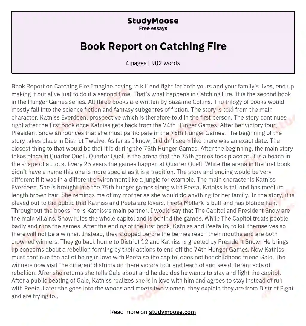 Book Report on Catching Fire essay