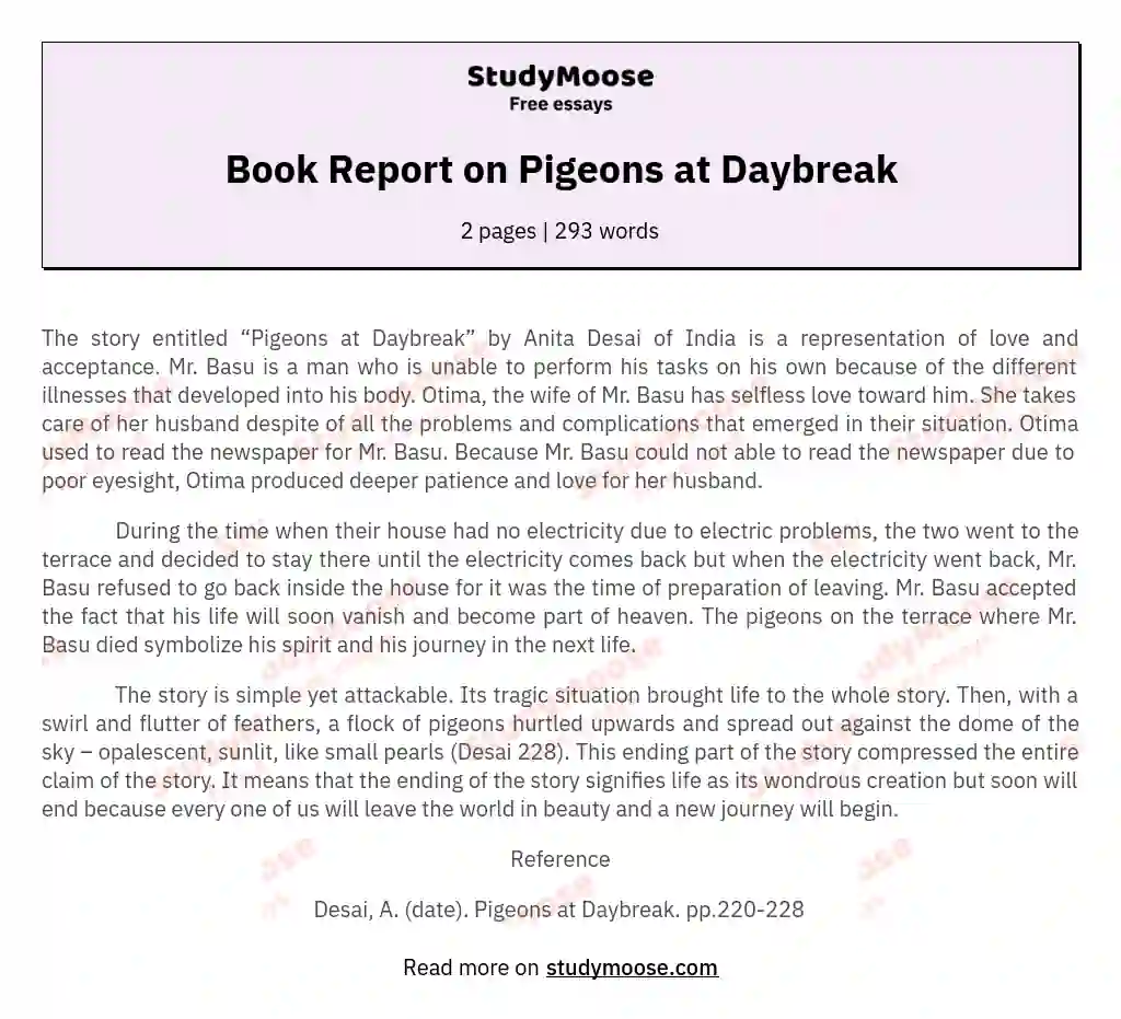 Book Report on Pigeons at Daybreak essay