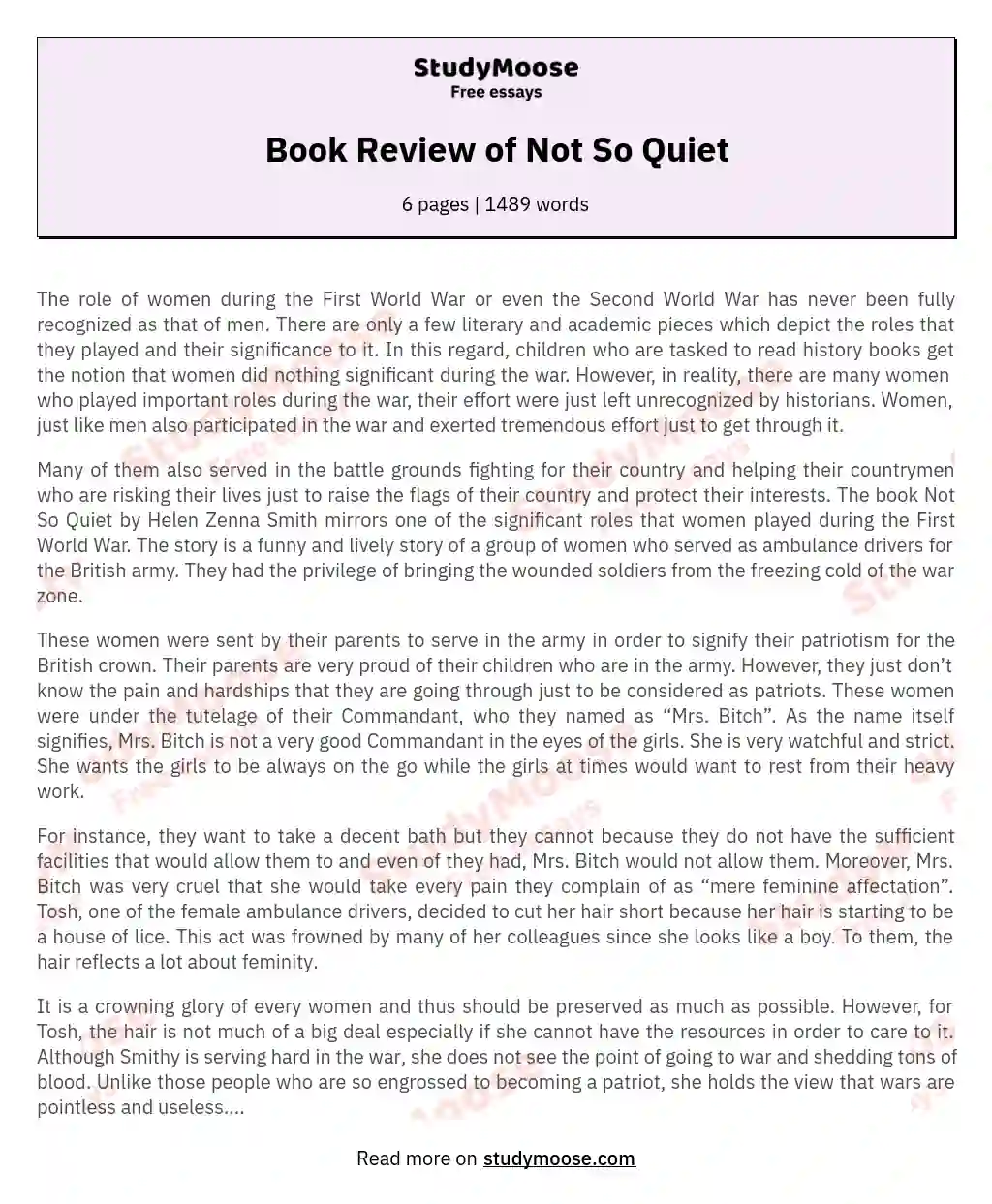 Book Review of Not So Quiet essay