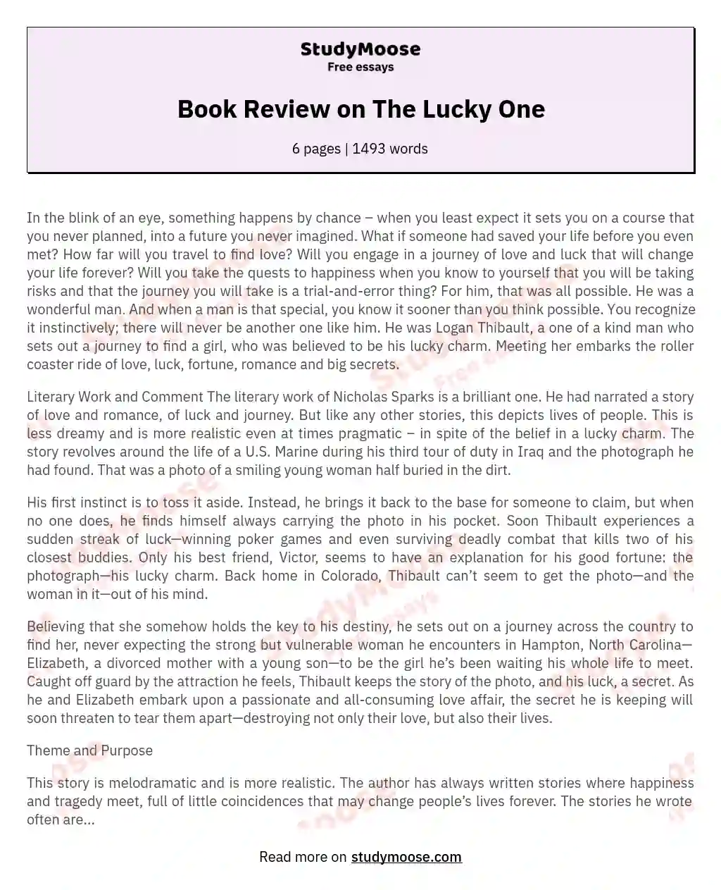 Book Review on The Lucky One essay