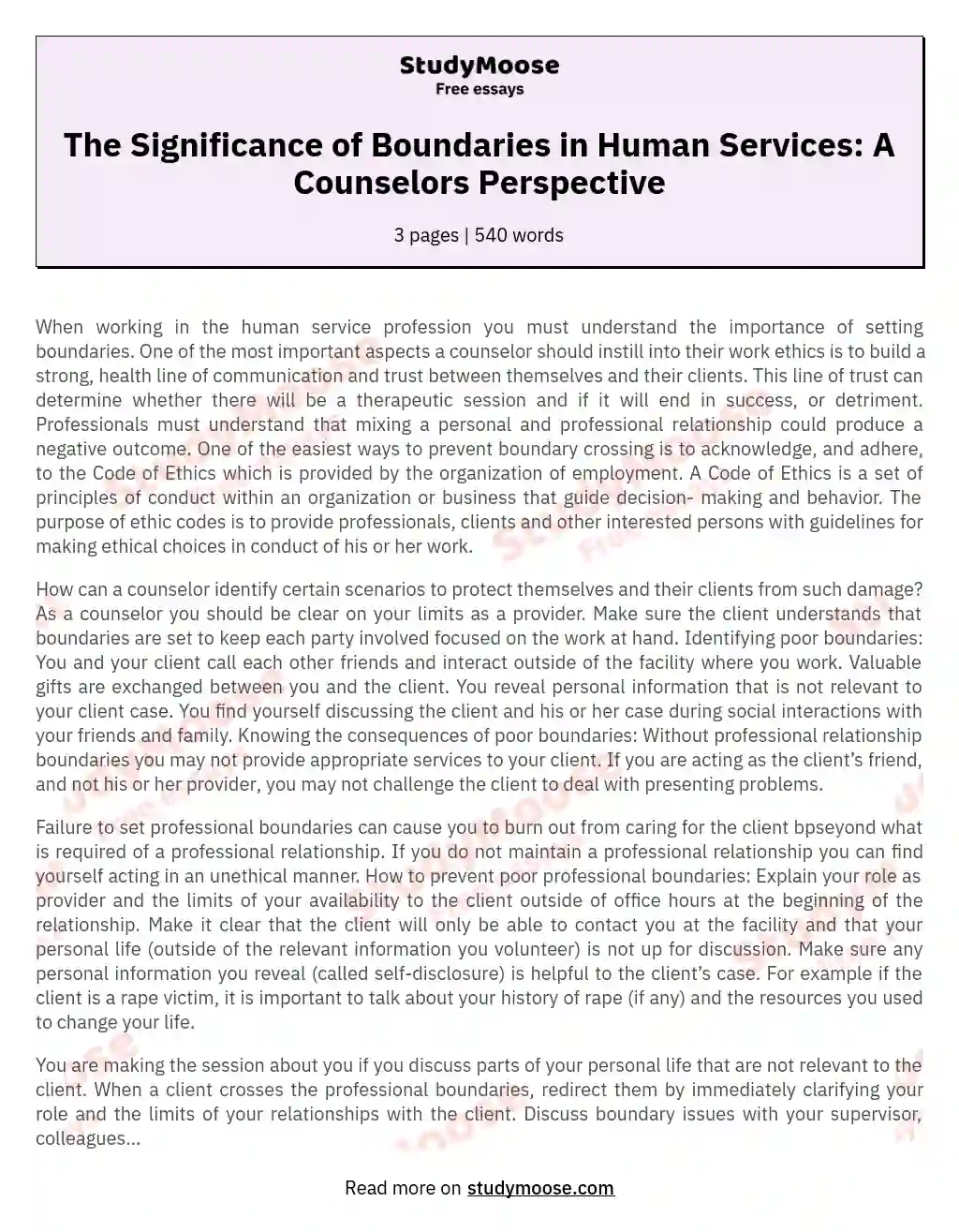 The Significance of Boundaries in Human Services: A Counselors Perspective