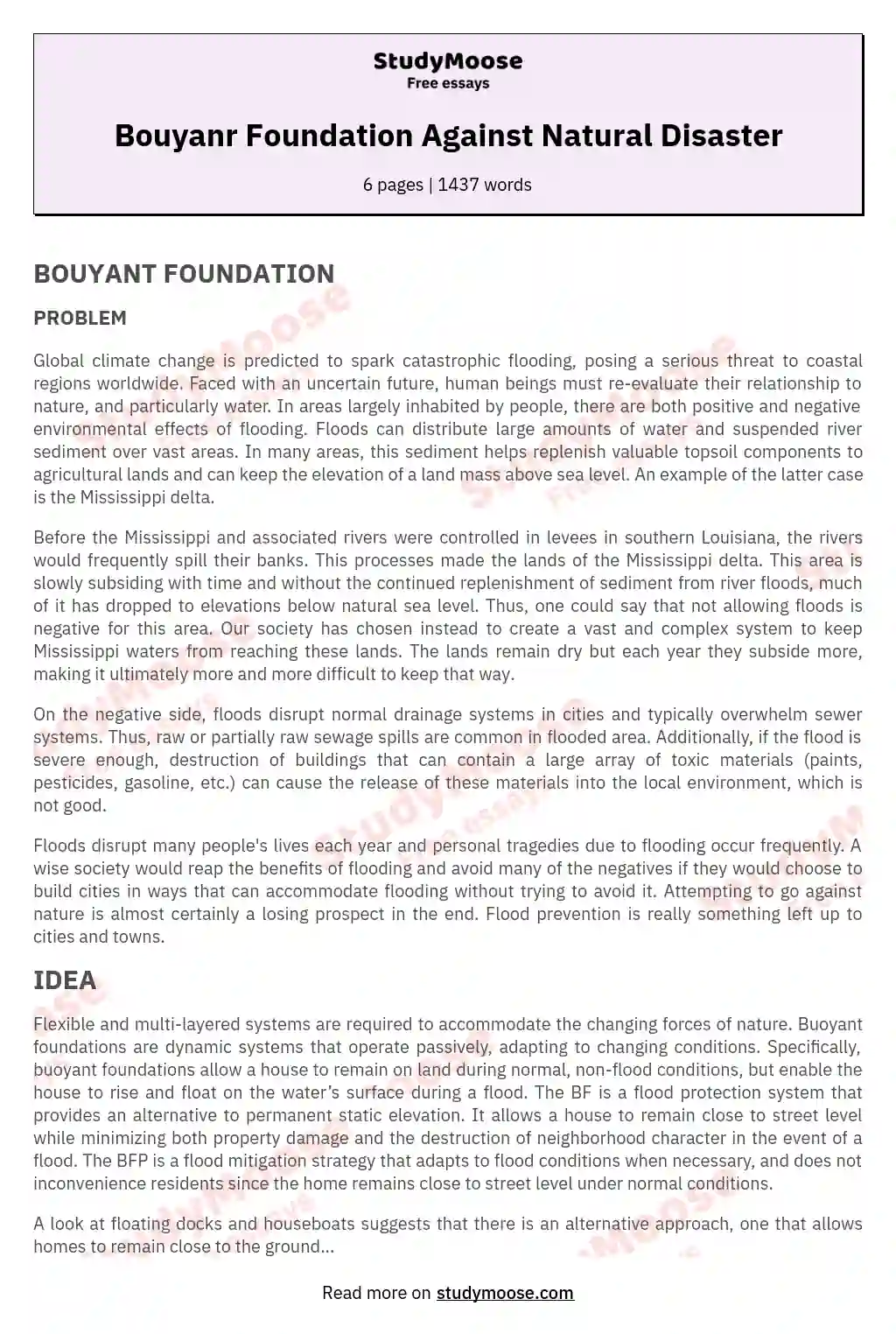 Bouyanr Foundation Against Natural Disaster essay