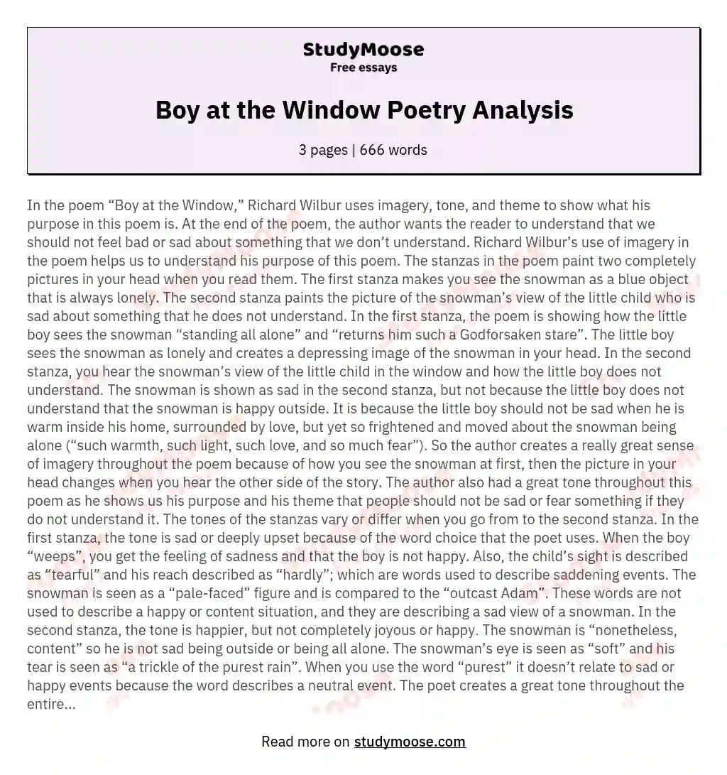 Boy at the Window Poetry Analysis essay