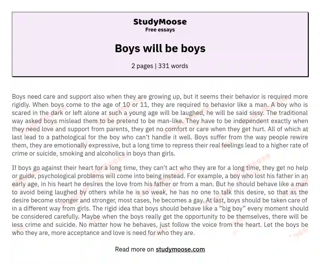 Boys will be boys essay