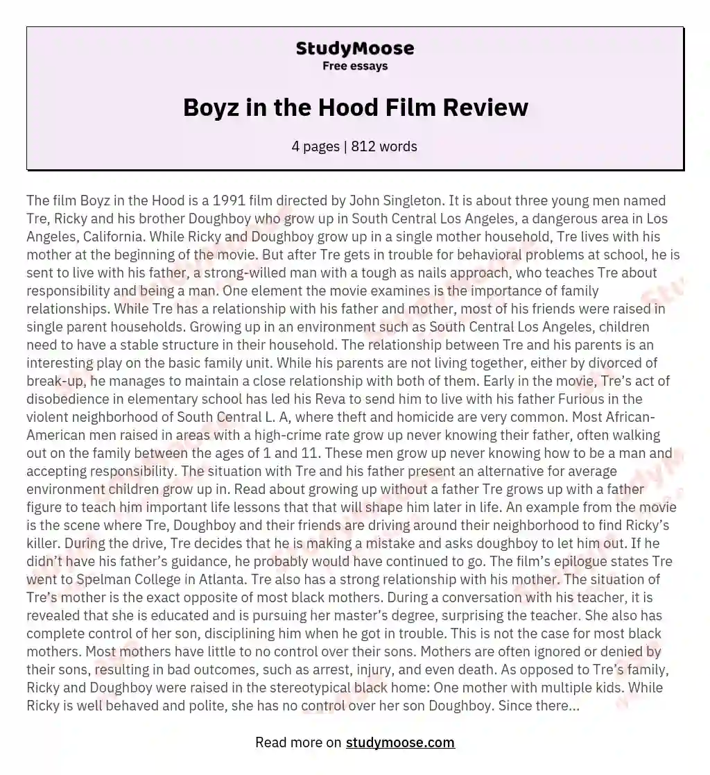 Boyz in the Hood Film Review essay