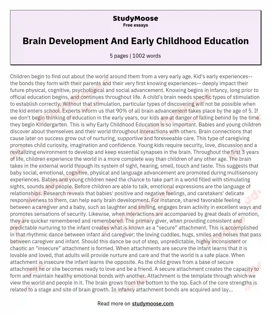Brain Development And Early Childhood Education essay