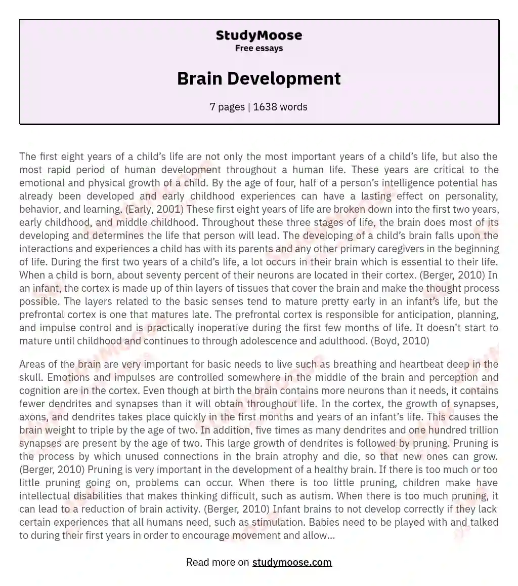 Brain Development essay