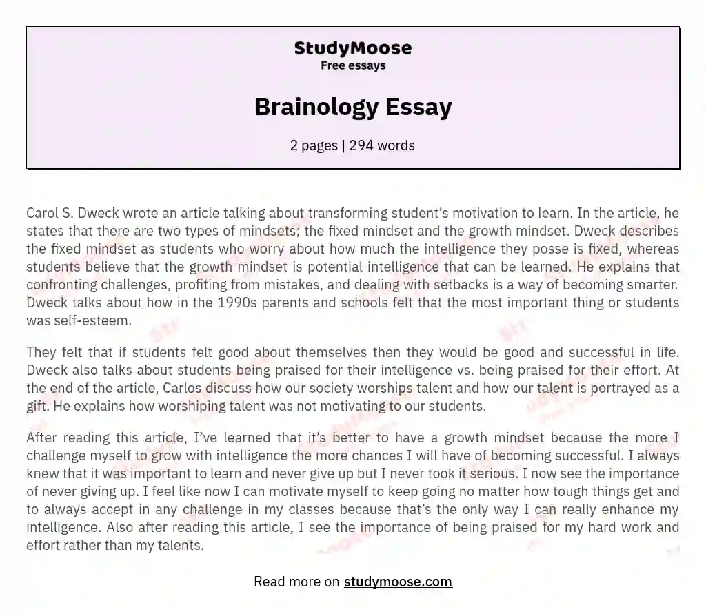 Brainology Essay essay