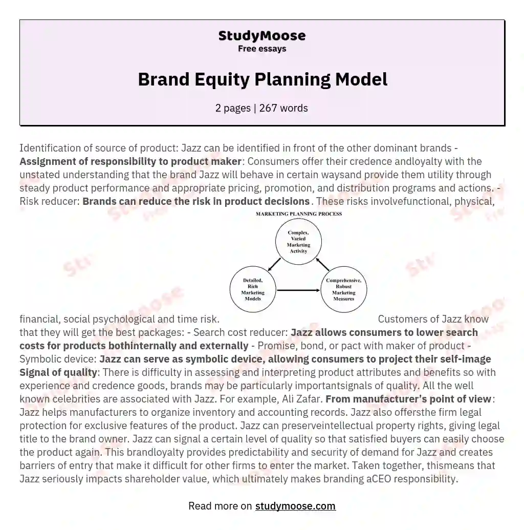 Brand Equity Planning Model essay