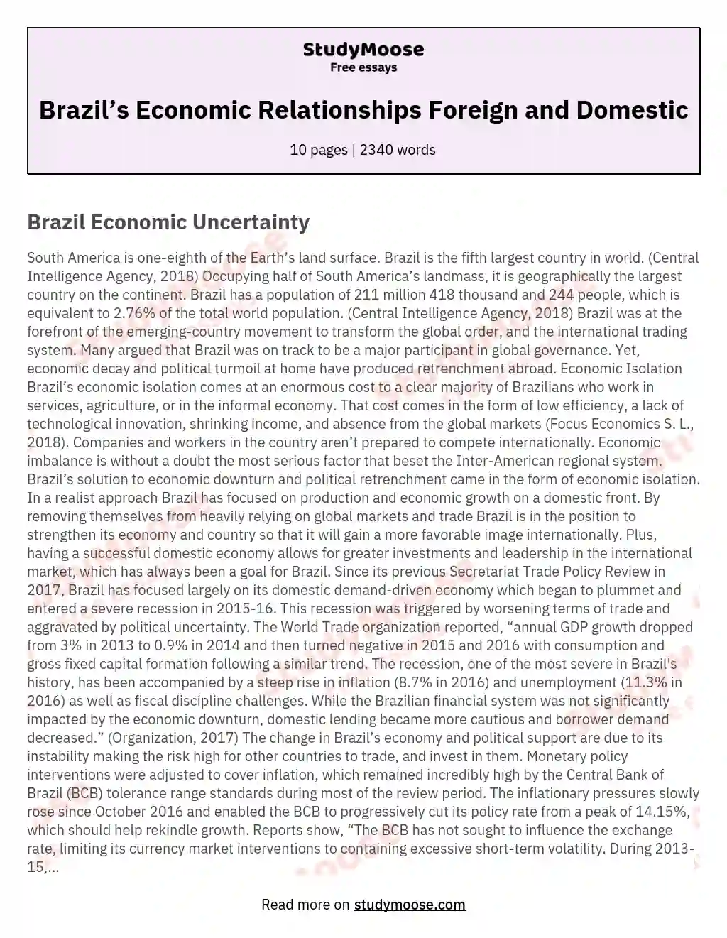Brazil’s Economic Relationships Foreign and Domestic essay