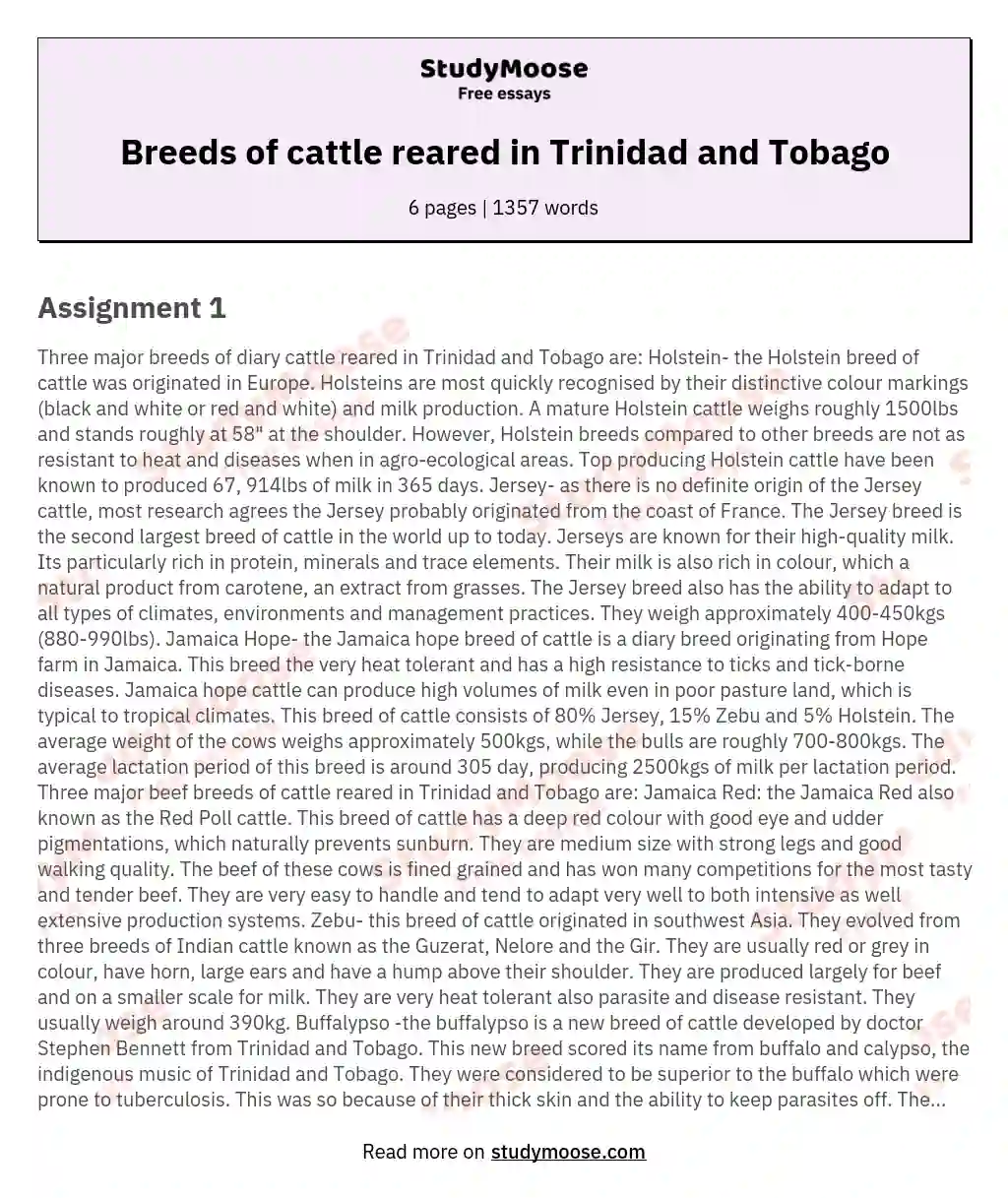Breeds of cattle reared in Trinidad and Tobago essay