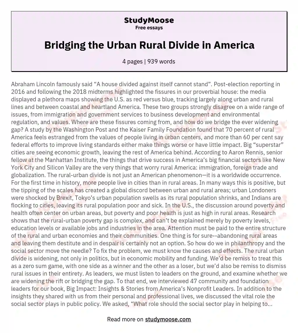Bridging the Urban Rural Divide in America essay