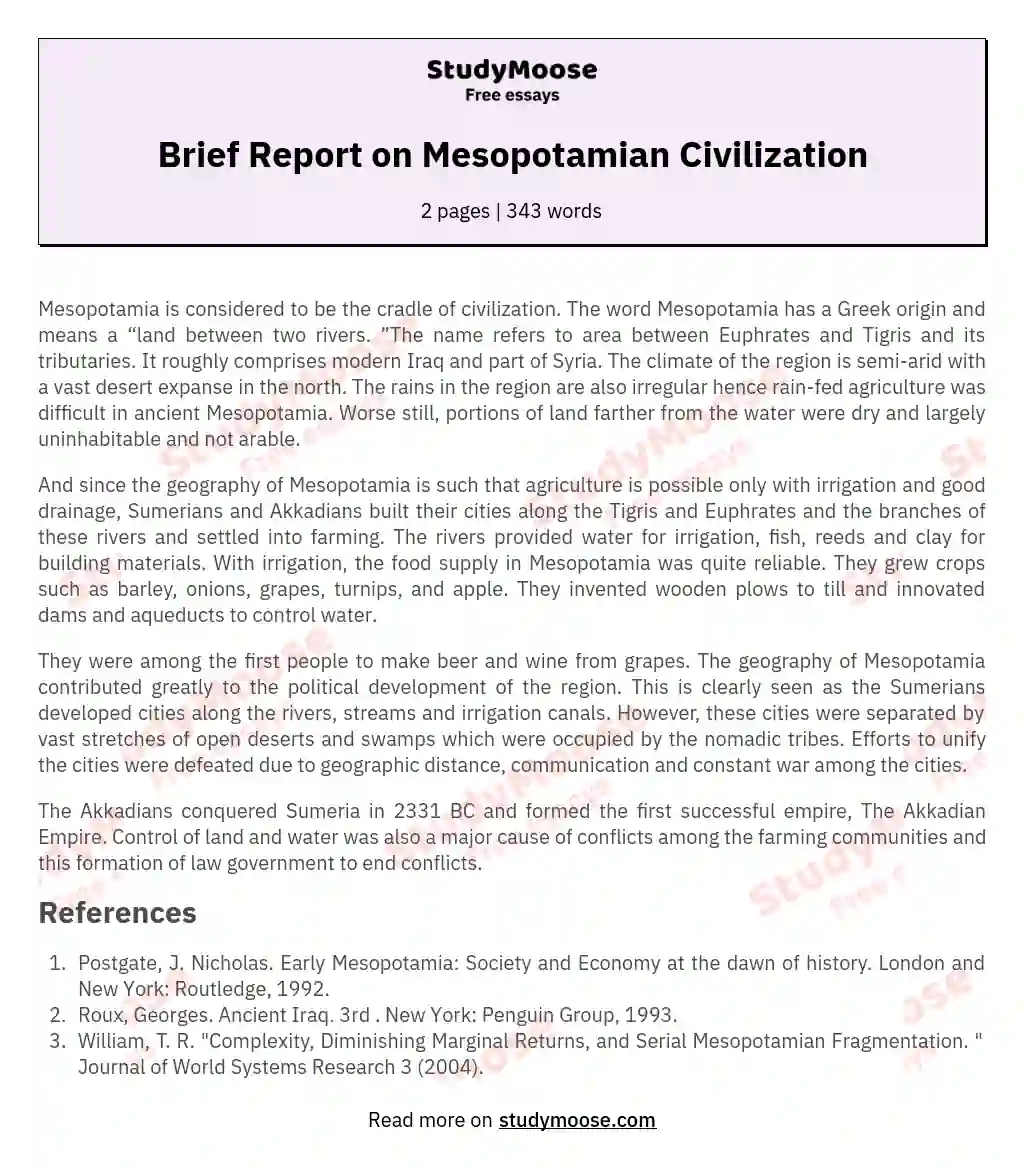 Brief Report on Mesopotamian Civilization essay