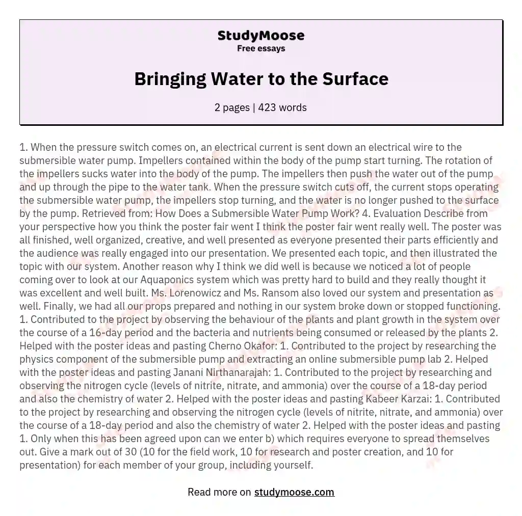 Bringing Water to the Surface essay
