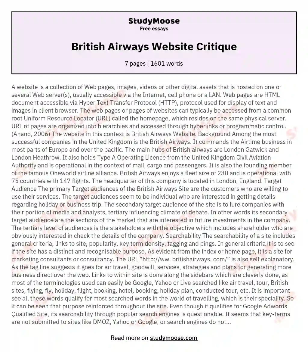 British Airways Website Critique essay