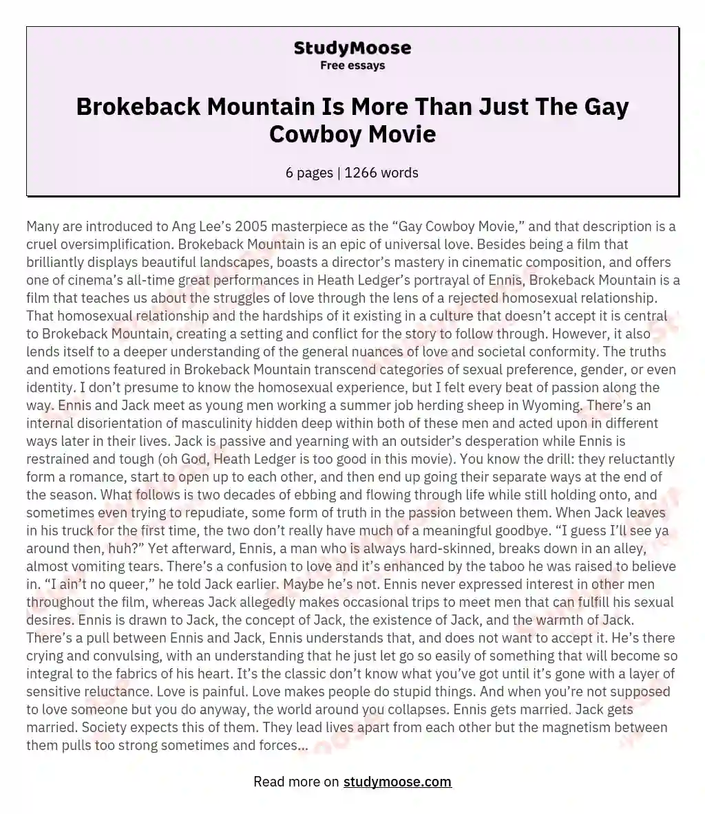 Brokeback Mountain Is More Than Just The Gay Cowboy Movie essay