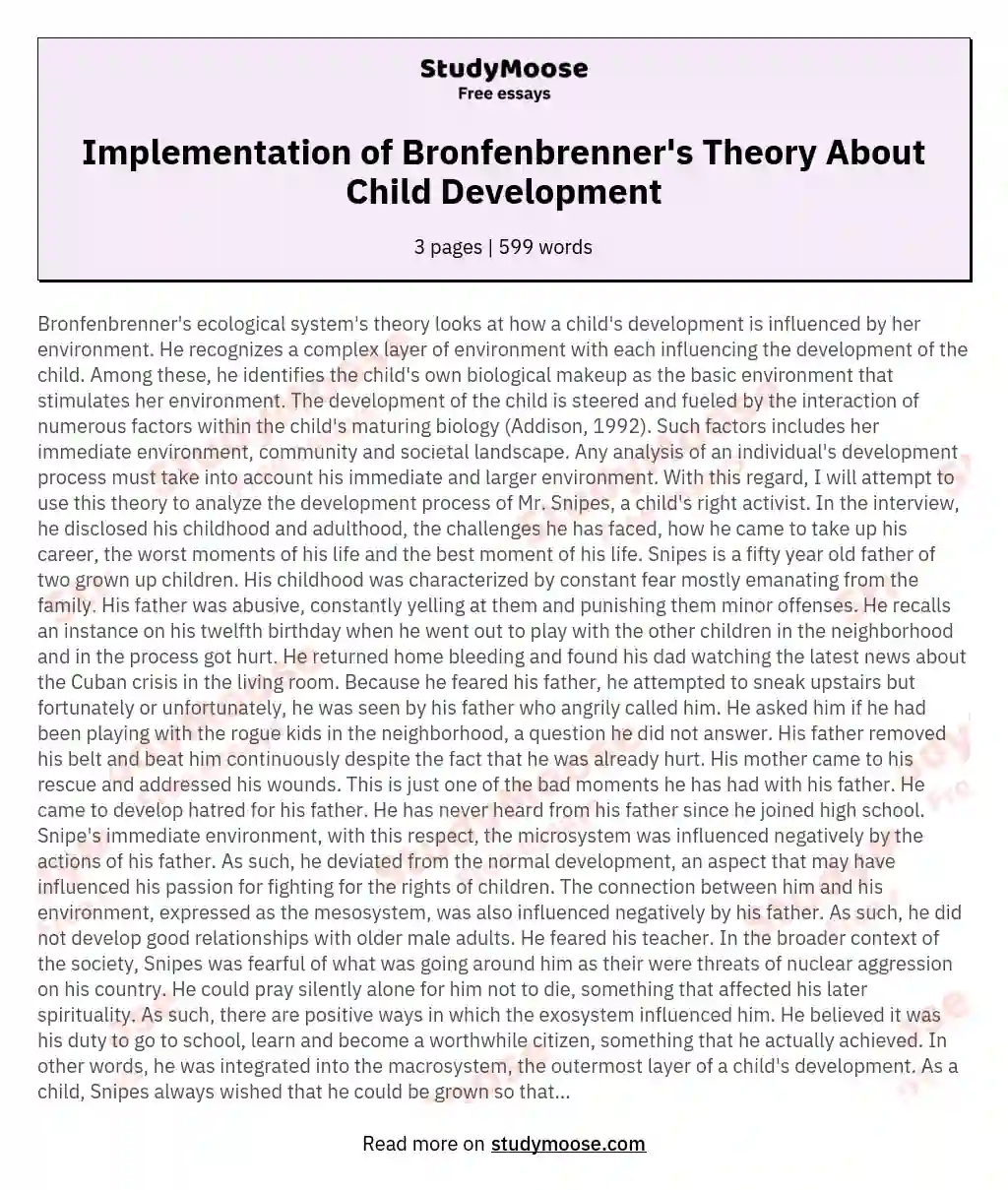 Implementation of Bronfenbrenner's Theory About Child Development