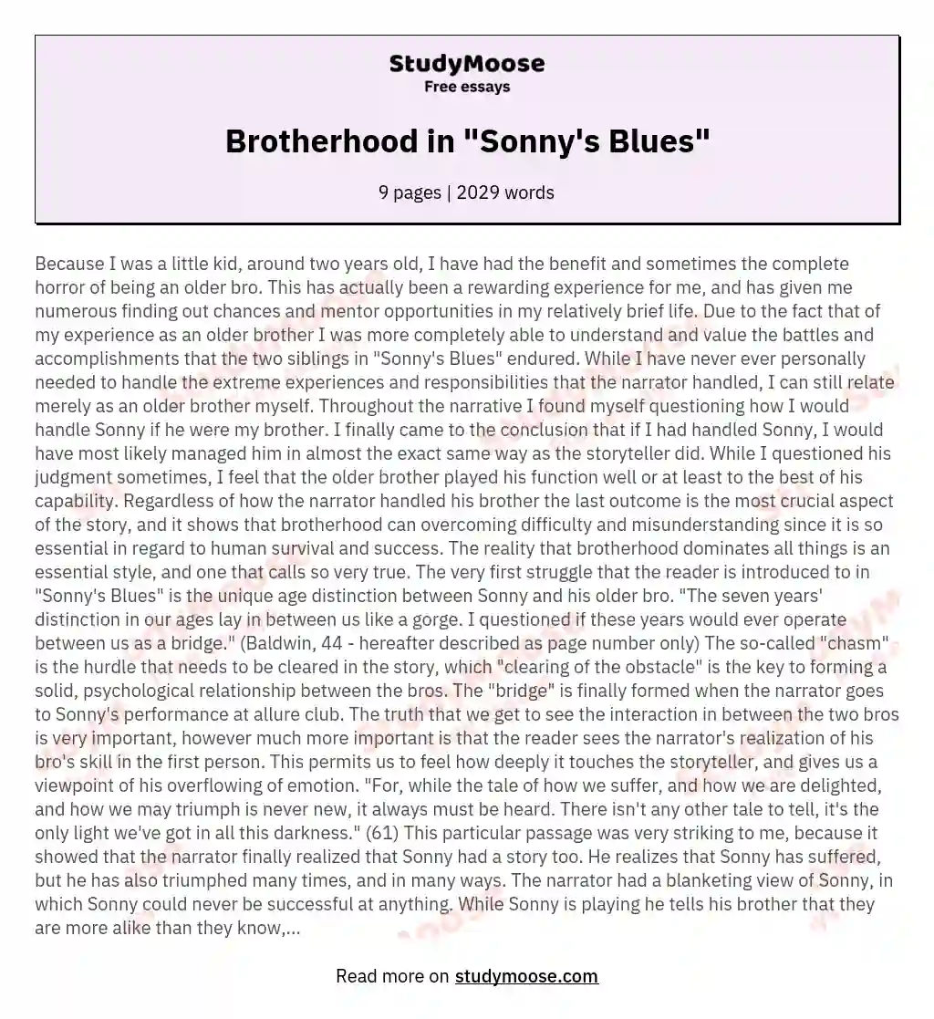 Brotherhood in "Sonny's Blues" essay