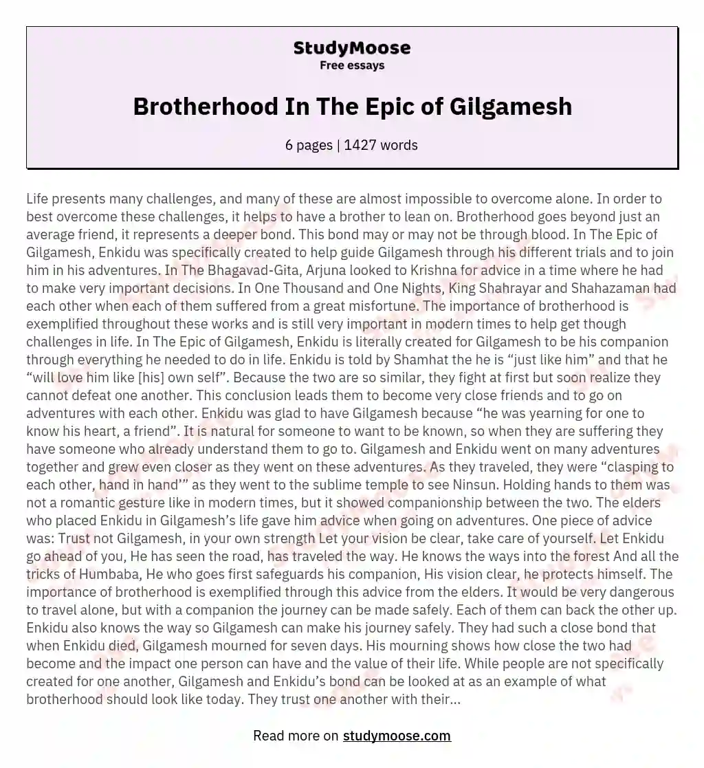 Brotherhood In The Epic of Gilgamesh essay