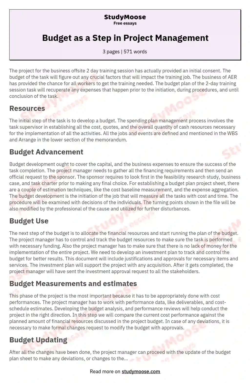 Budget as a Step in Project Management essay