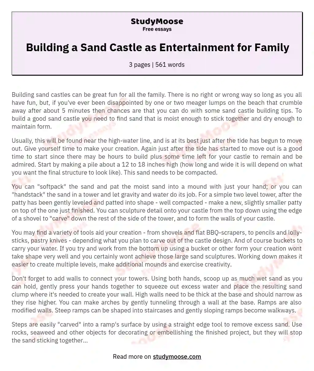 Building a Sand Castle as Entertainment for Family essay