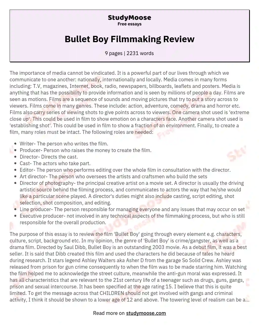 Bullet Boy Filmmaking Review