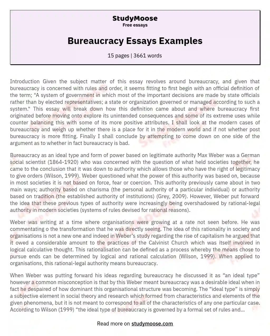 Bureaucracy Essays Examples essay