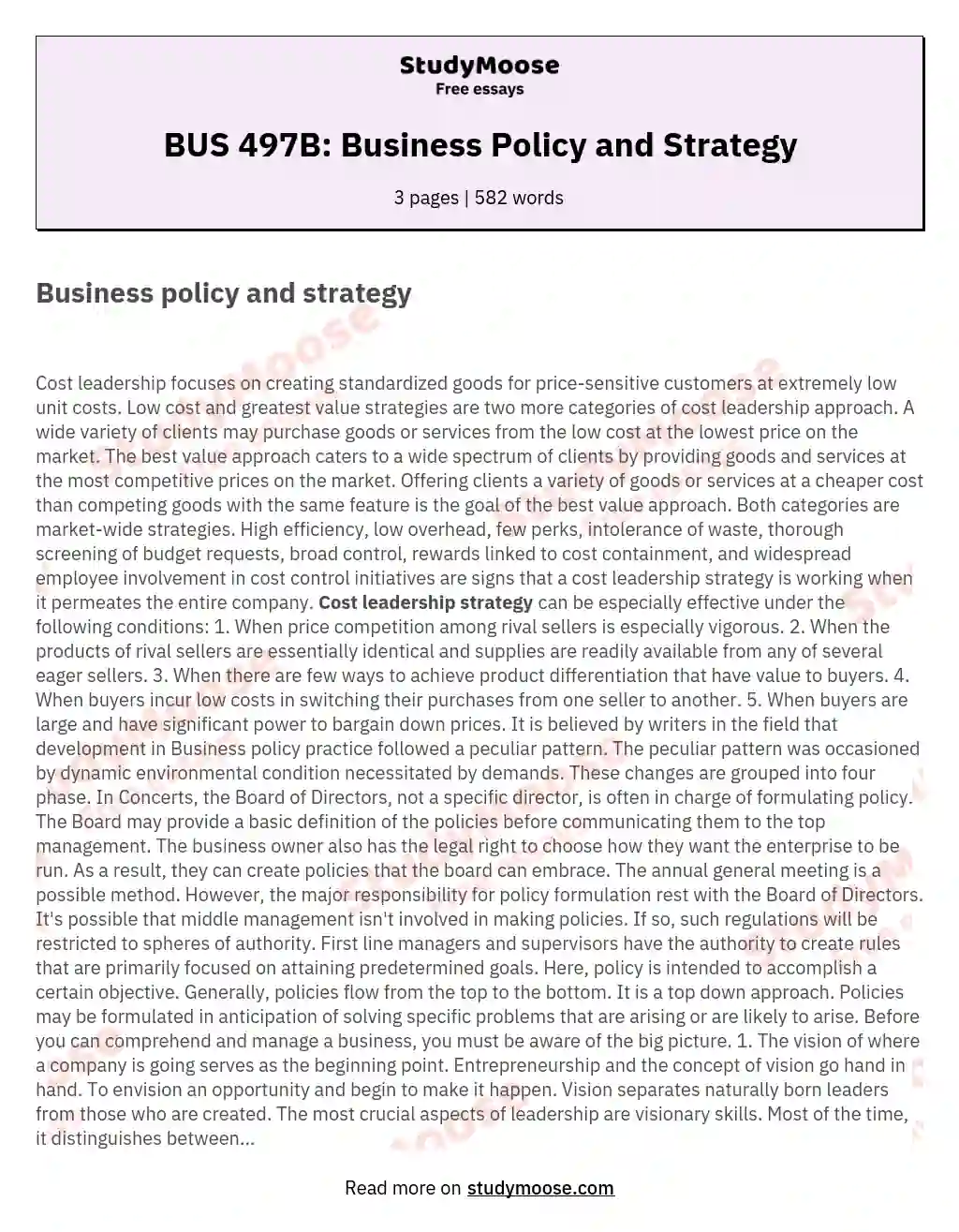 BUS 497B: Business Policy and Strategy essay