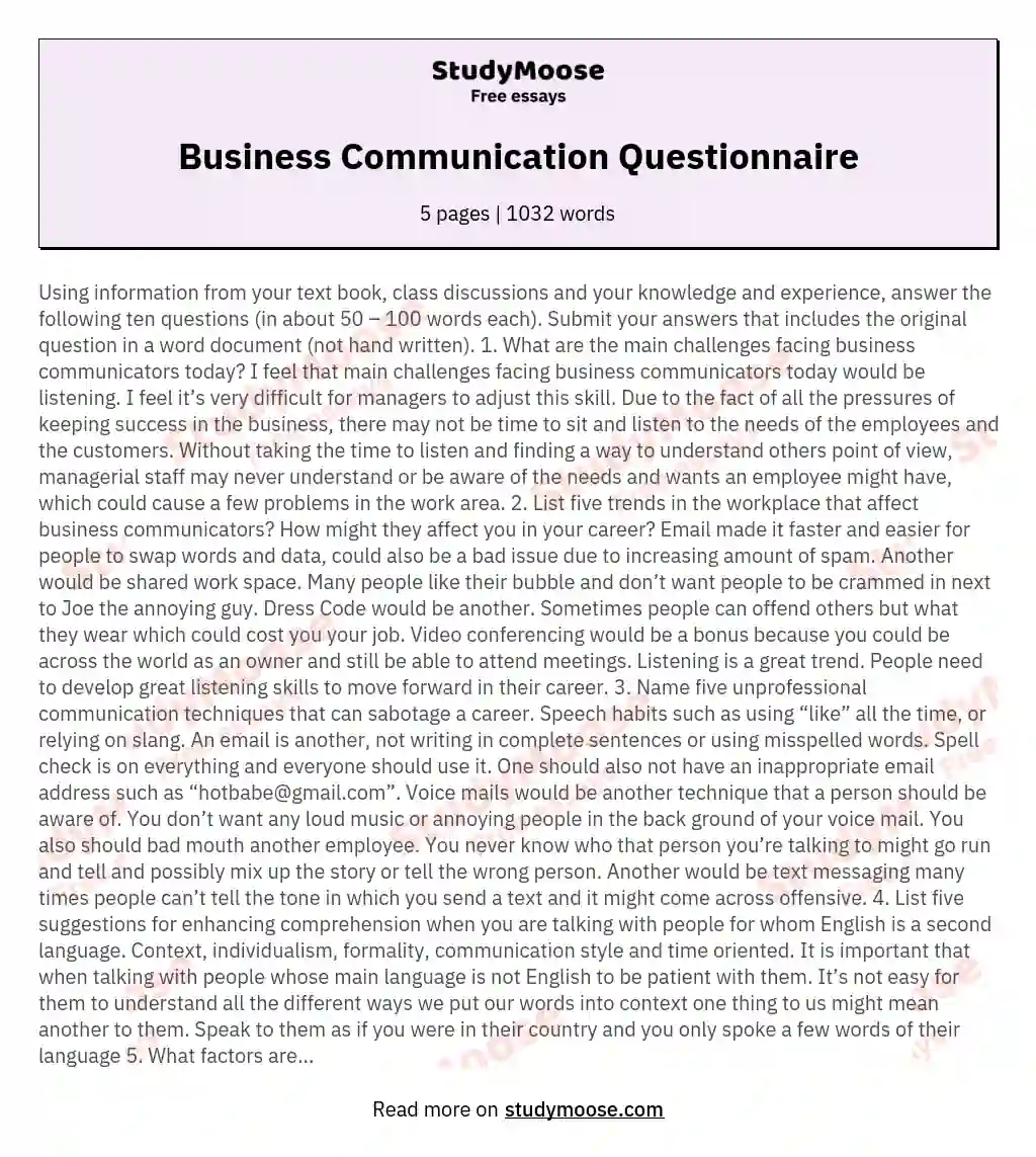 Business Communication Questionnaire essay