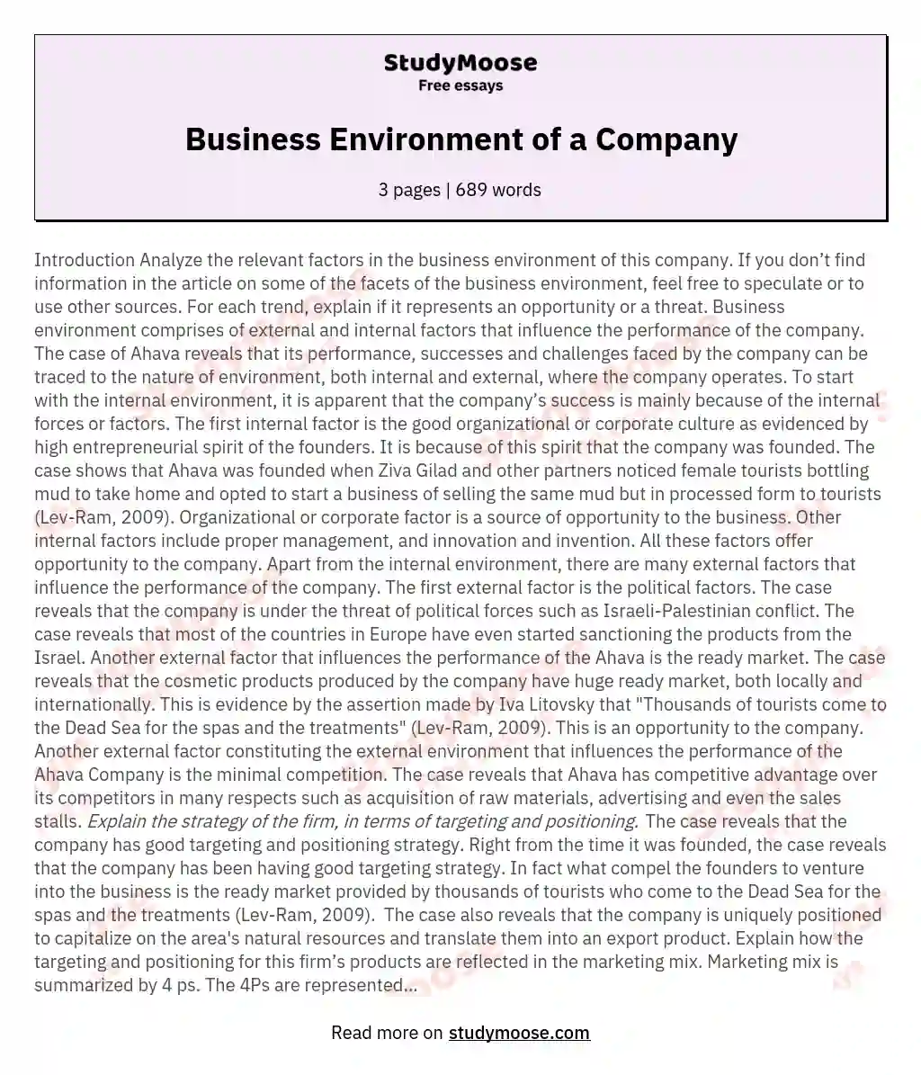Business Environment of a Company essay