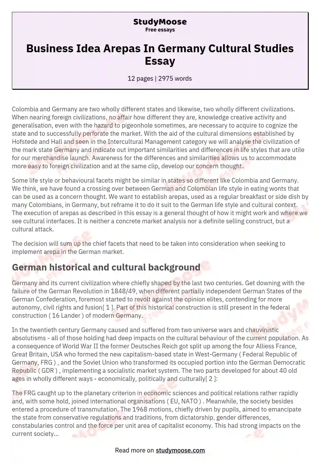 Business Idea Arepas In Germany Cultural Studies Essay essay