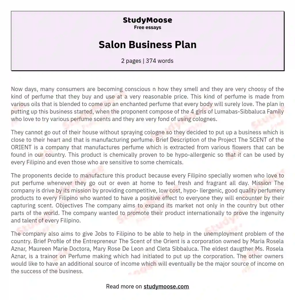 Salon Business Plan essay