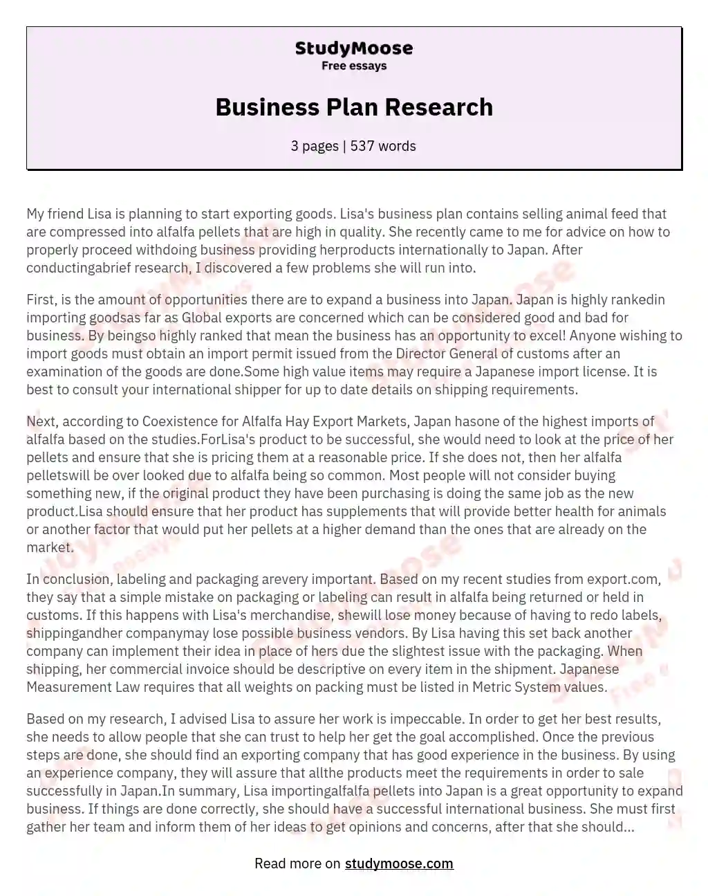 Business Plan Research essay