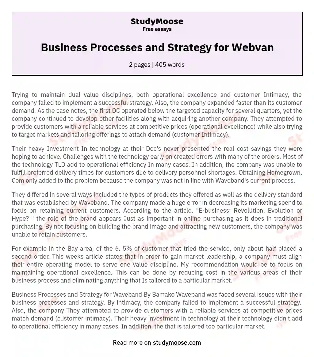 Business Processes and Strategy for Webvan essay