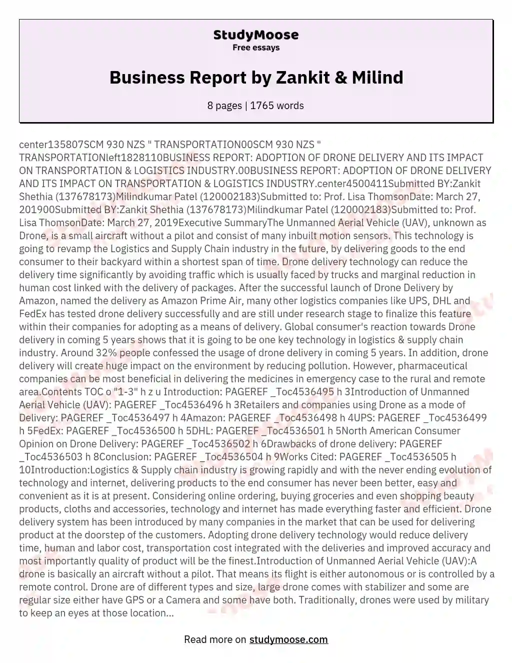 Business Report by Zankit & Milind essay