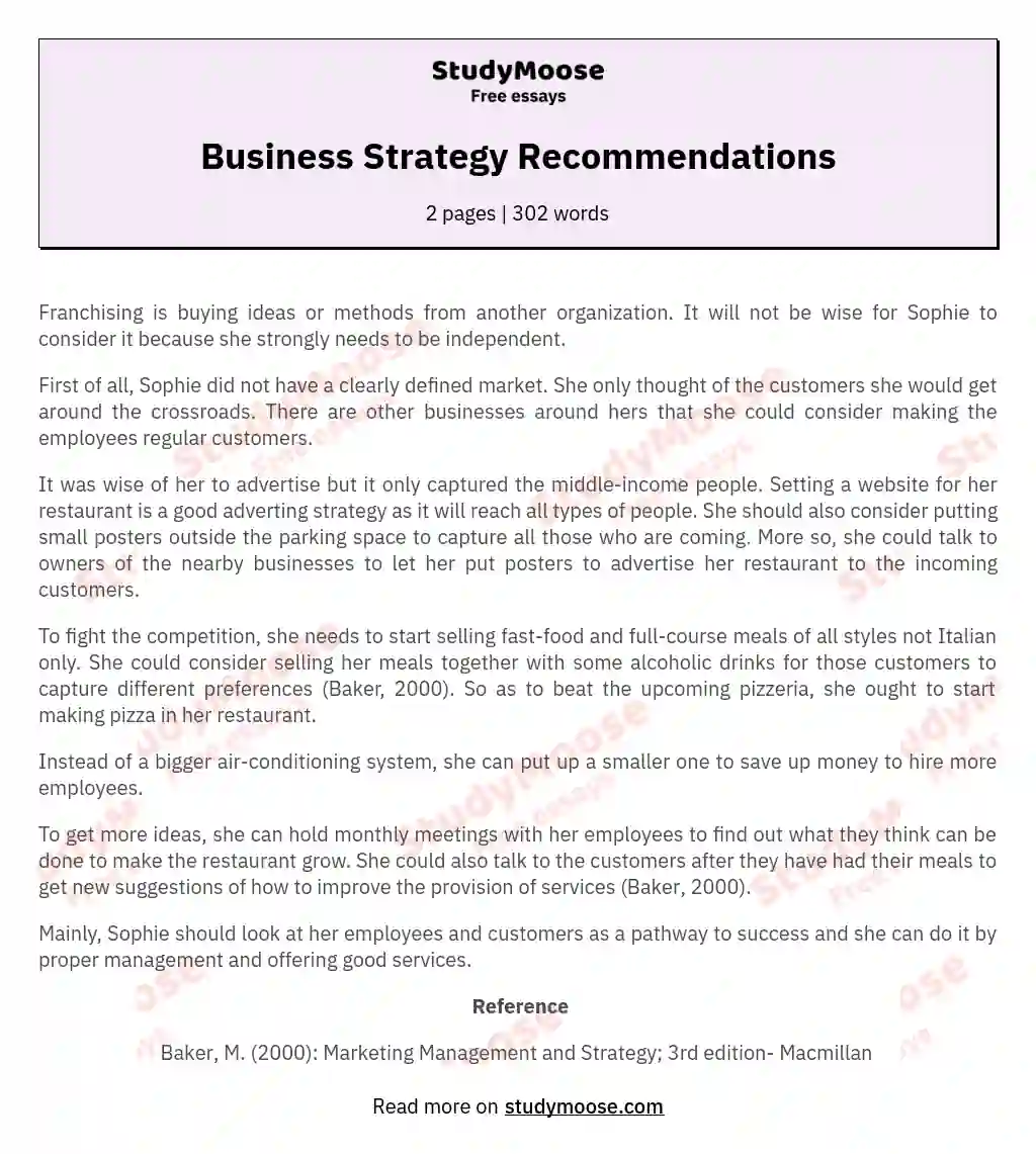 Business Strategy Recommendations essay