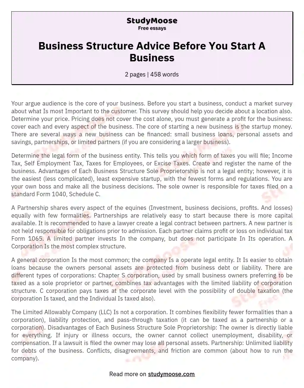 Business Structure Advice Before You Start A Business essay