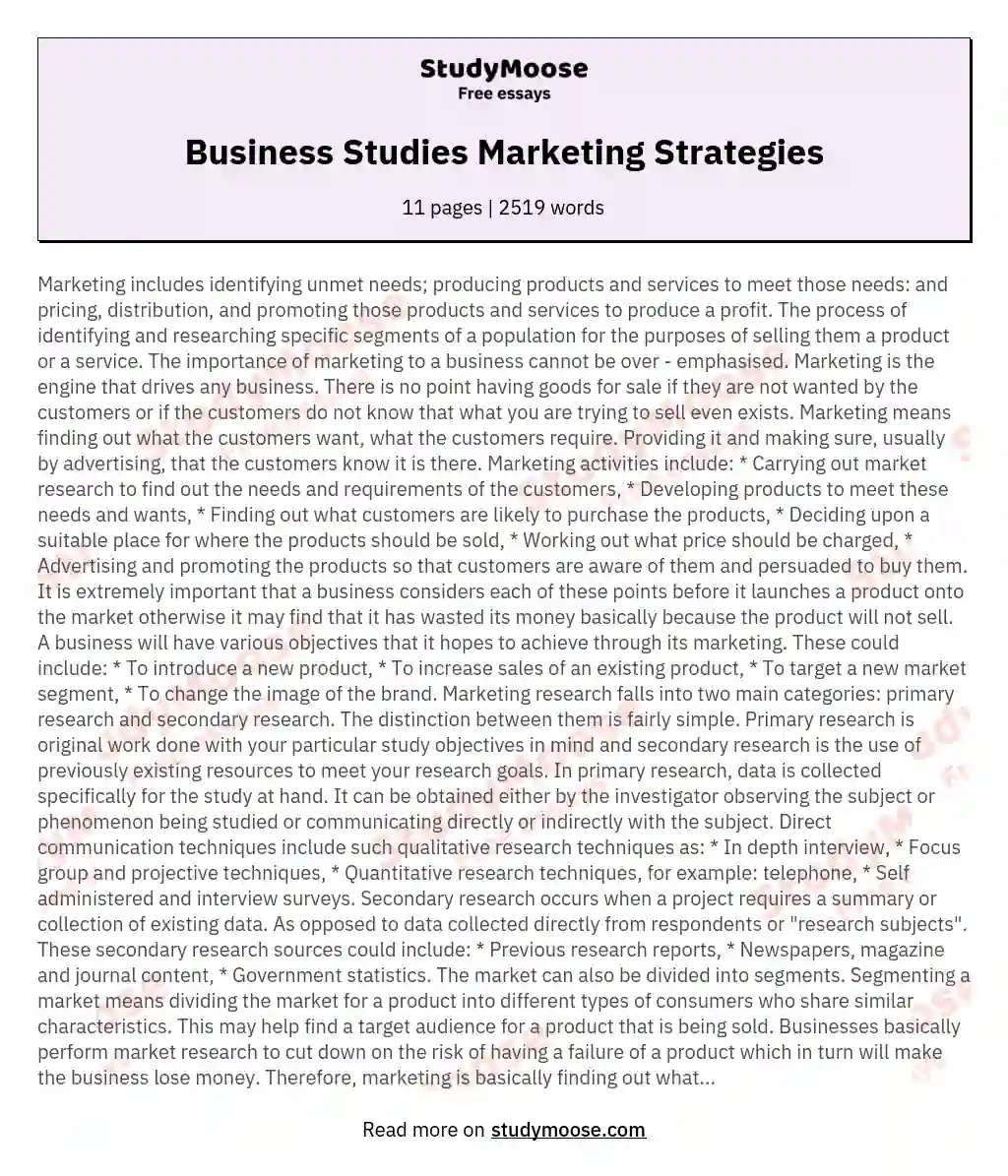 Business Studies Marketing Strategies essay