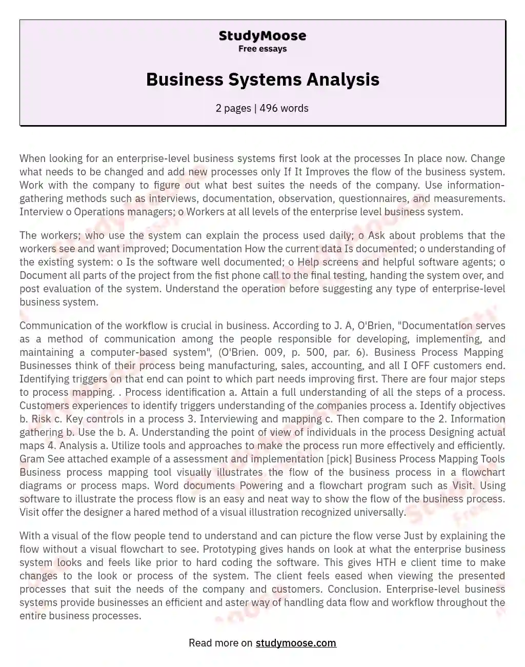 Business Systems Analysis essay