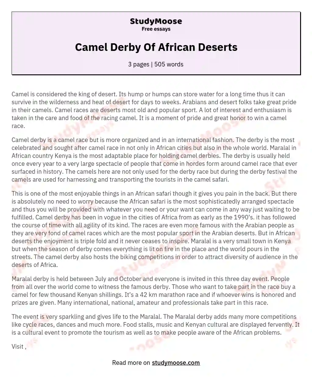 Camel Derby Of African Deserts essay