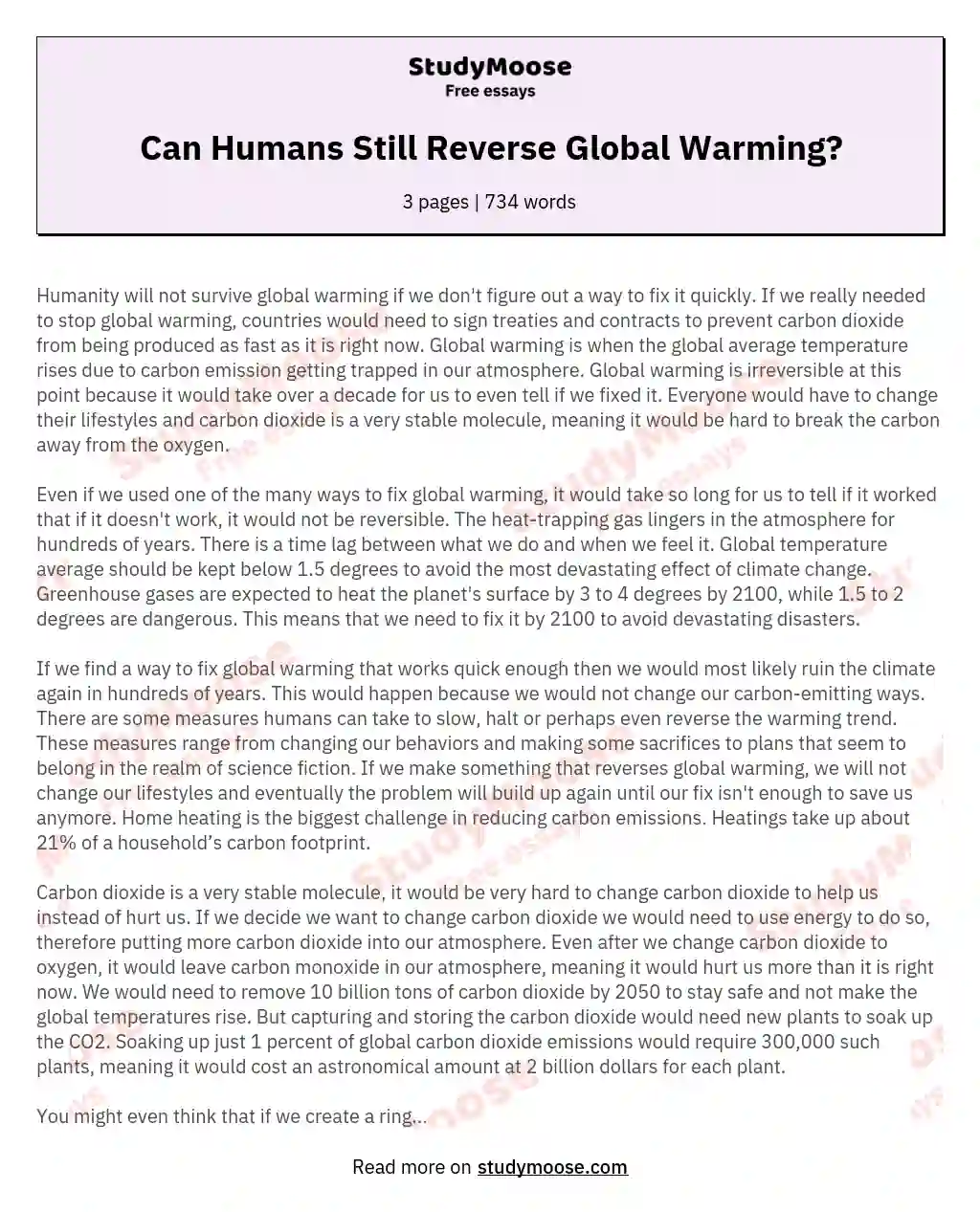 Can Humans Still Reverse Global Warming? essay