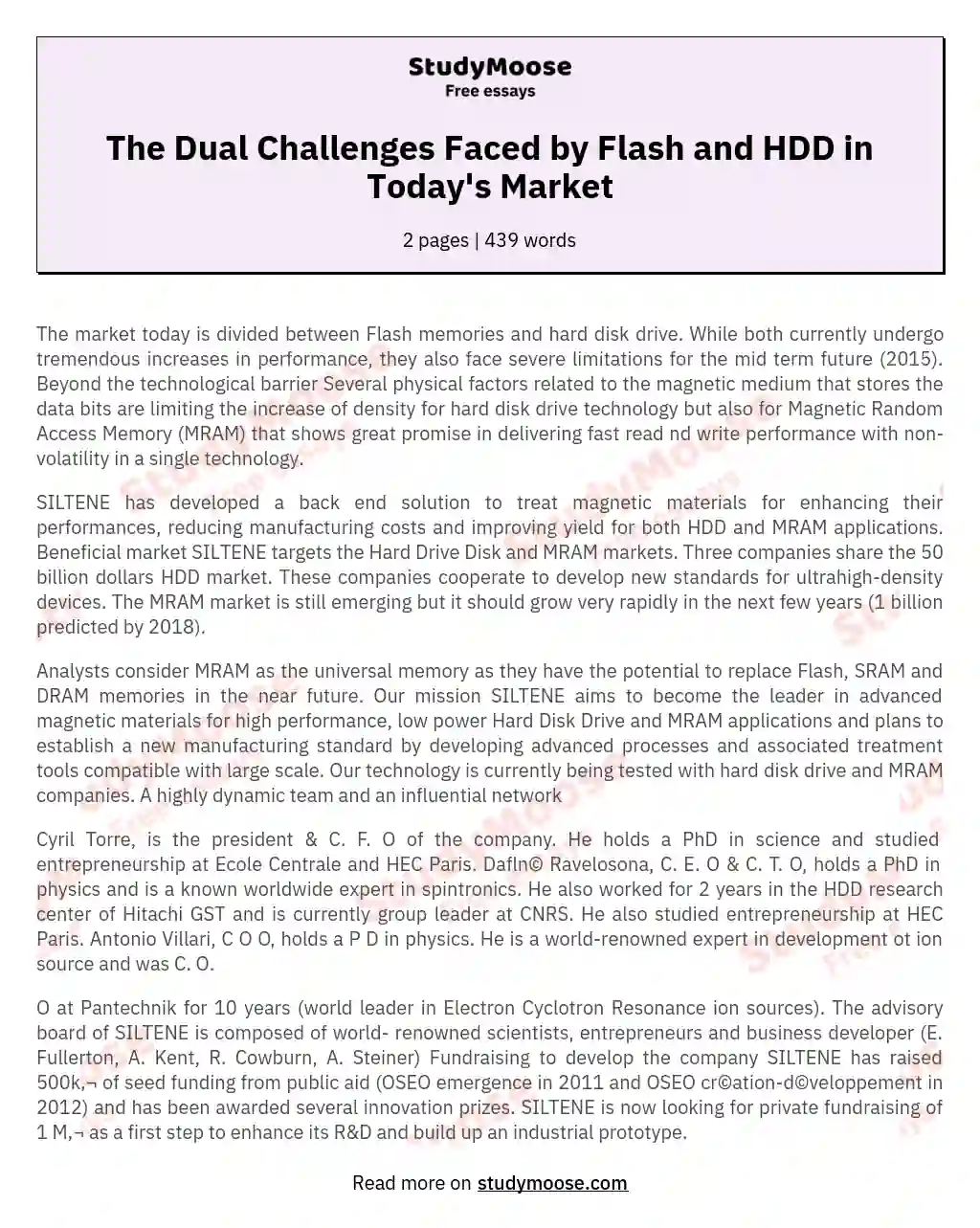 The Dual Challenges Faced by Flash and HDD in Today's Market essay