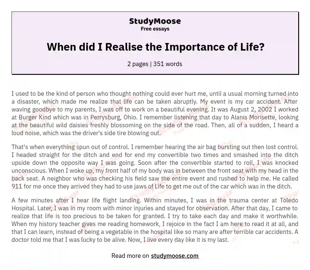 When did I Realise the Importance of Life? essay