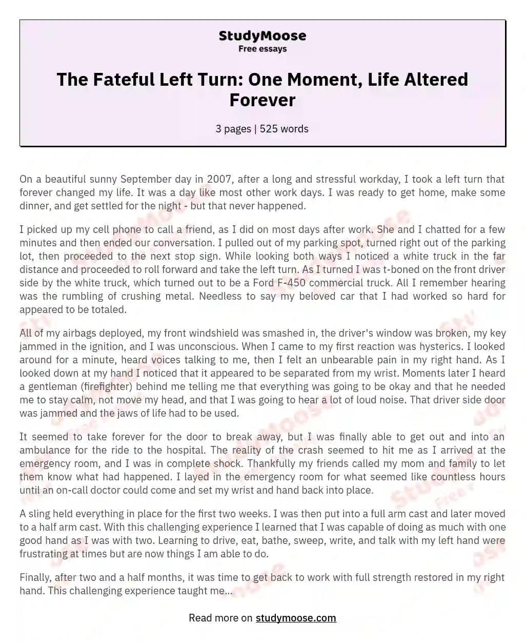 The Fateful Left Turn: One Moment, Life Altered Forever essay