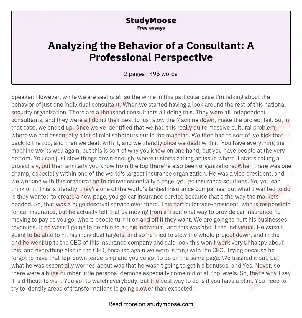 Analyzing the Behavior of a Consultant: A Professional Perspective essay