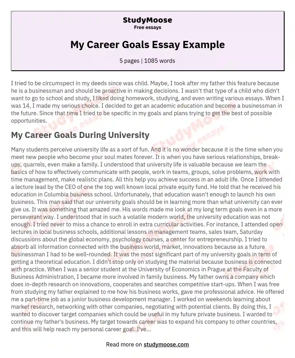 my personal career plan essay