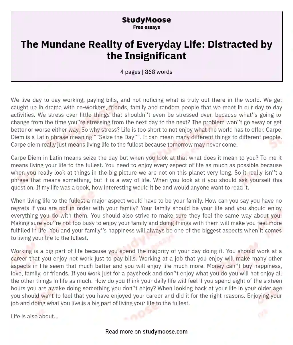 The Mundane Reality of Everyday Life: Distracted by the Insignificant essay